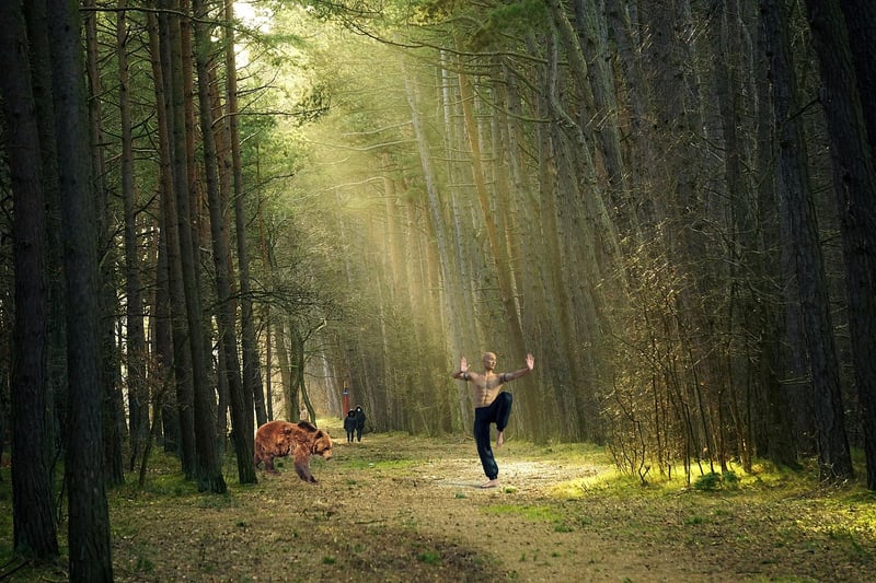 Chen Style Taijiquan