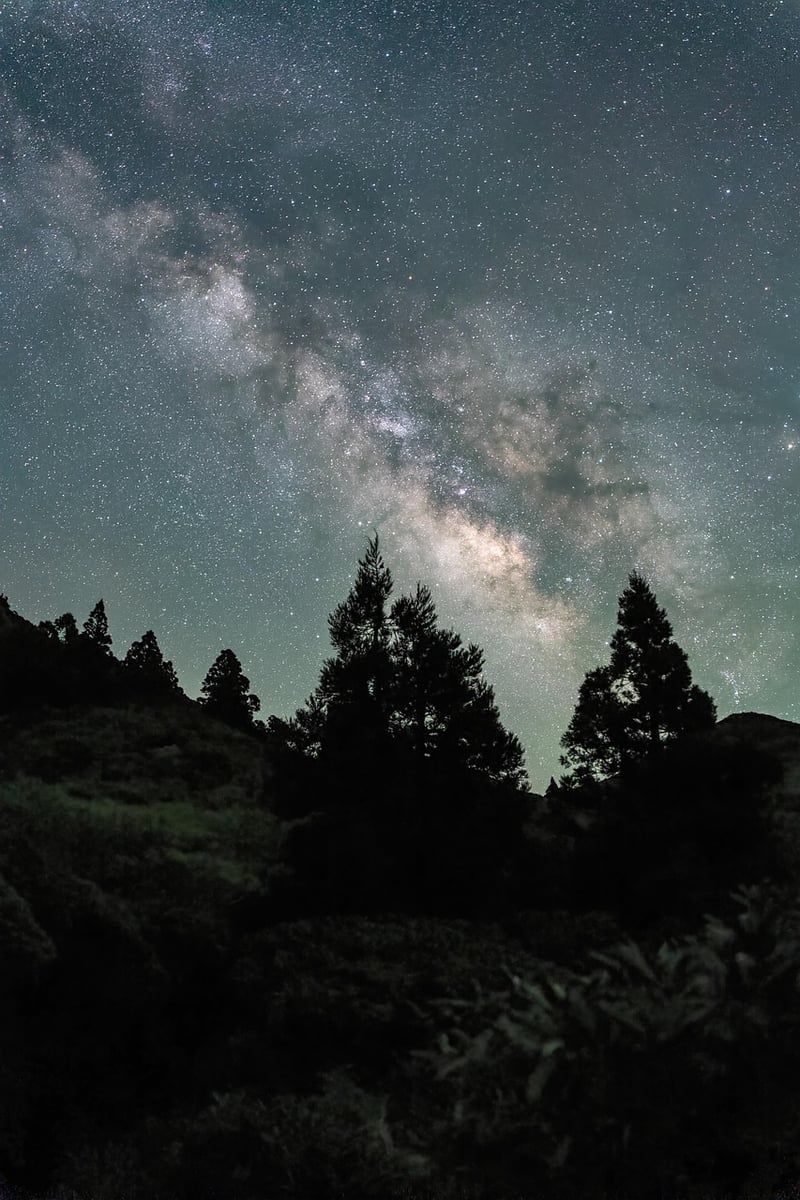 Guided Meditation Image
